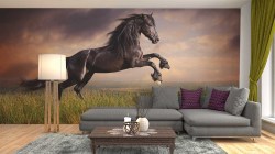 Fotobehang zwart steigerend paard op hoge kwaliteit vliesbehang